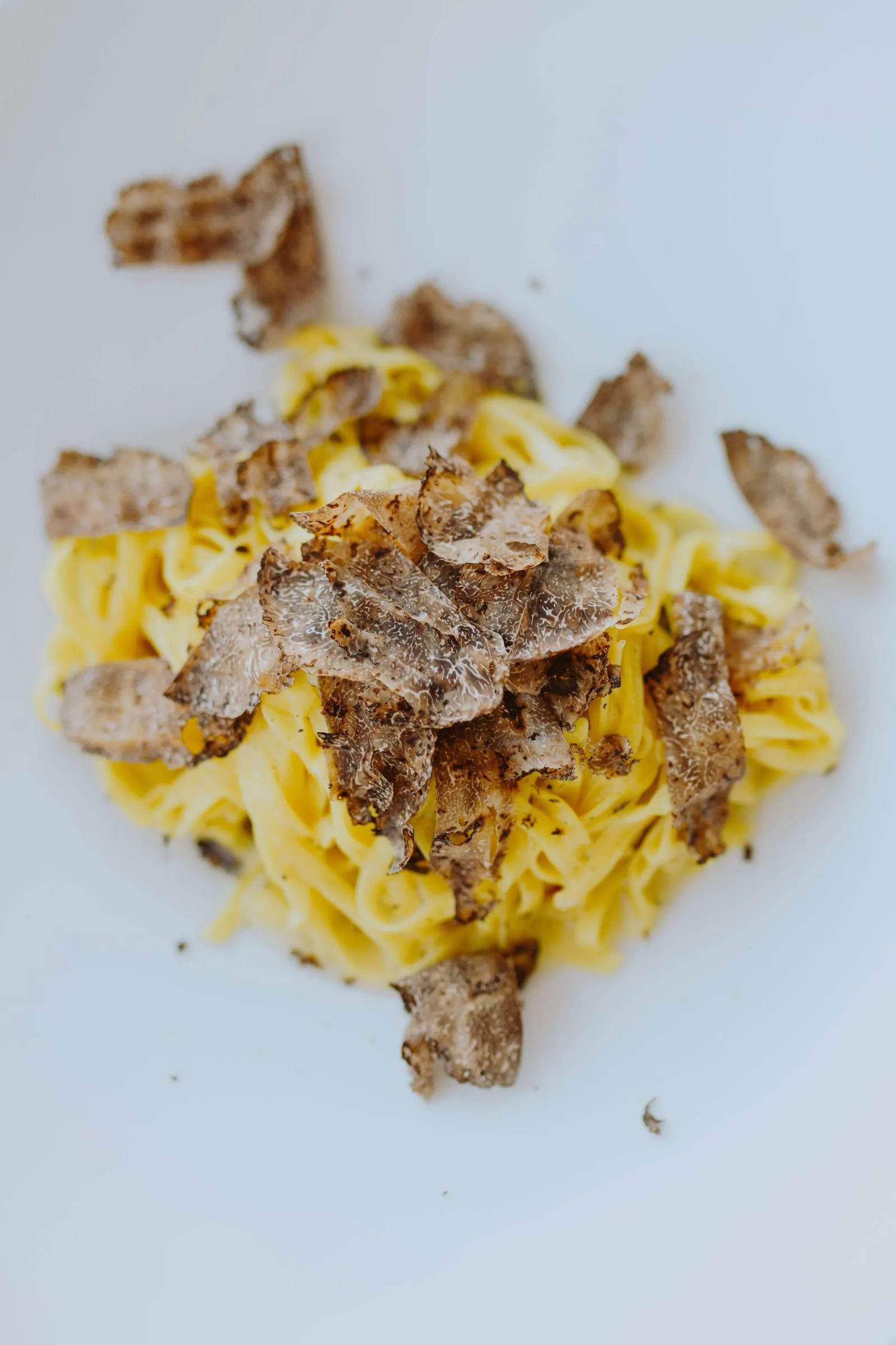 Tagliolini al tartufo nero pregiato abruzzese